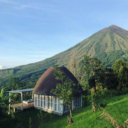 Manulalu Jungle 호텔 Bajawa 외부 사진