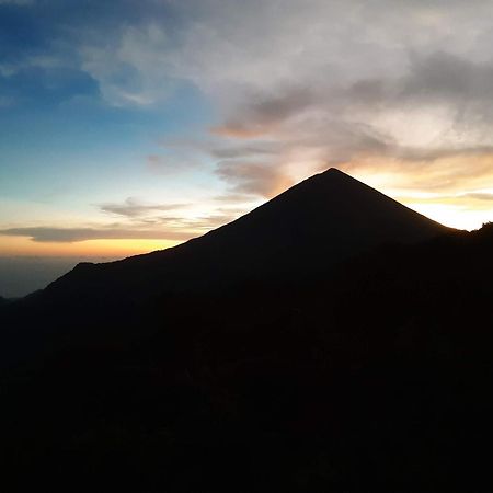 Manulalu Jungle 호텔 Bajawa 외부 사진