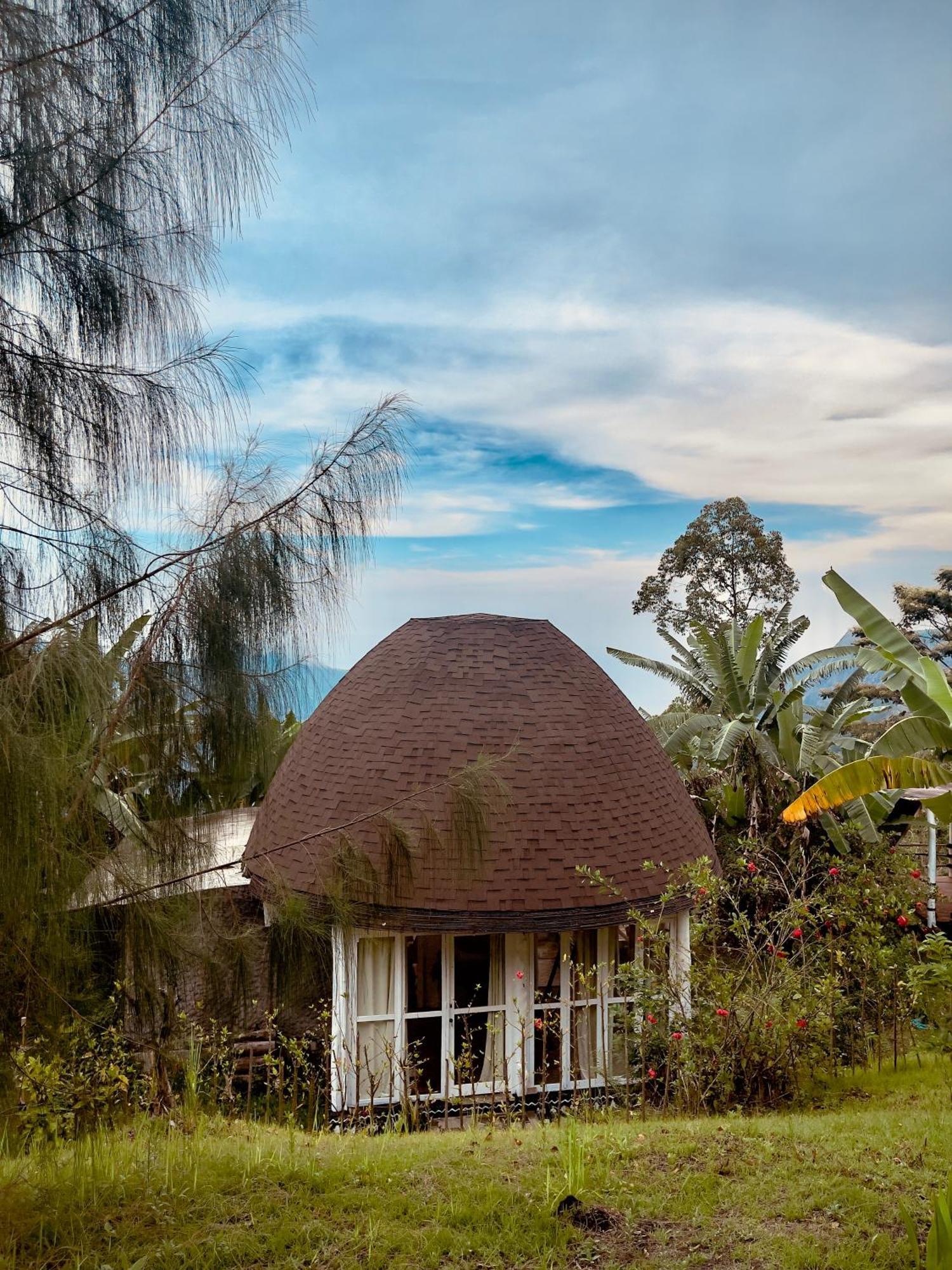 Manulalu Jungle 호텔 Bajawa 외부 사진