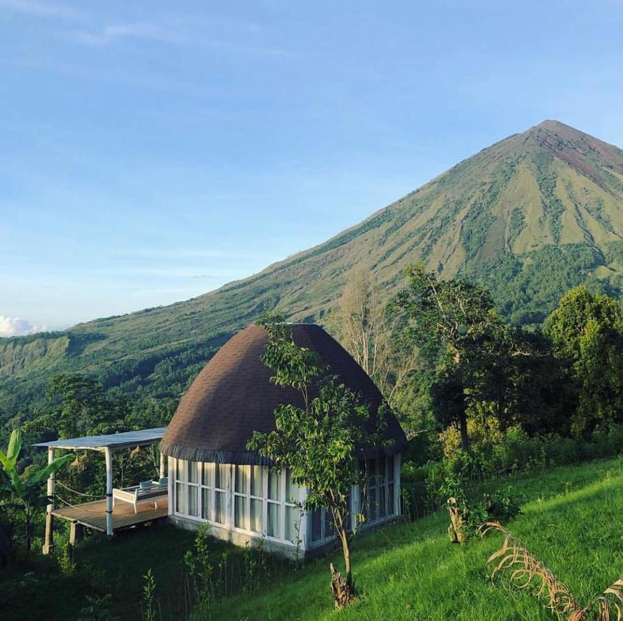 Manulalu Jungle 호텔 Bajawa 외부 사진