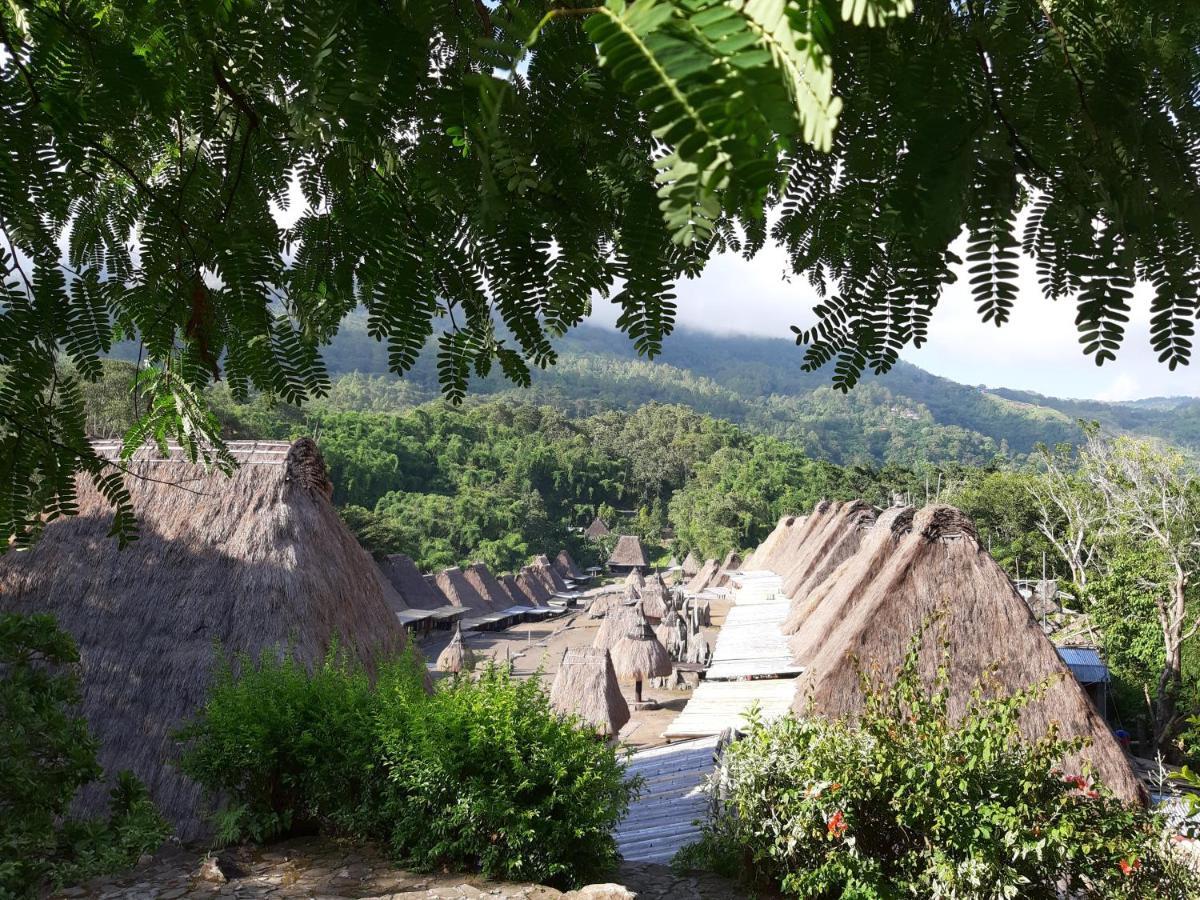 Manulalu Jungle 호텔 Bajawa 외부 사진